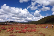 梧州旅游去处(暑期最好的旅游去处)