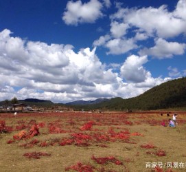 梧州旅游去处(暑期最好的旅游去处)