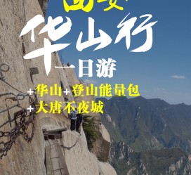 梧州一日游(一日游需要准备些什么东西?)