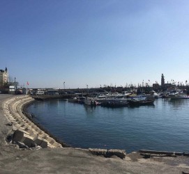 梧州大连旅游攻略(大连旅游攻略自由行)